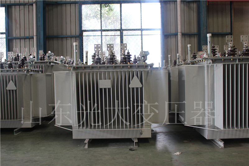 岚山S20-500KVA/10KV